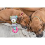 Іграшка Trixie Junior для собак Ведмідь з кільцем та звуком поліестер/пластик 23 см - Зображення 3