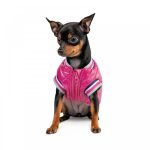 Бомбер Pet Fashion Grace для собак М - Зображення 3