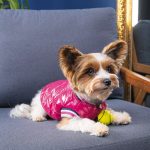 Бомбер Pet Fashion Grace для собак М - Зображення 4