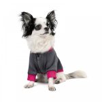 Толстовка Pet Fashion Bim для собак S - Зображення 3