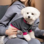Толстовка Pet Fashion Bim для собак XS-2 - Зображення 4