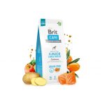 Корм сухий Brit Care Dog Grain-free Junior Large Breed для молодих собак великих порід беззерновий з лососем 3 кг - Зображення 6