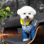 Костюм Pet Fashion TENDER для собак біло-блакитний S - Зображення 6