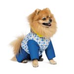 Костюм Pet Fashion TENDER для собак біло-блакитний M - Зображення 2