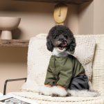 Дощовик Pet Fashion JIMI для собак хакі сірий XS - Зображення 6