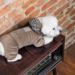 Костюм SOFT S - Зображення 6