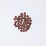 Корм сухий Carnilove True Fresh Cat Fresh Turkey для дорослих котів з індичкою 340 г - Зображення 2