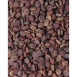 Корм сухий Carnilove True Fresh Cat Fresh Chicken для дорослих котів з куркою 1,8 кг - Зображення 4
