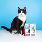 Краплі Provet PROFILINE для котів до 4 кг інсектоакарицид 4 піпетки по 0,5 мл - Зображення 3