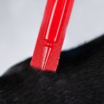 Краплі Provet PROFILINE для собак 10-20 кг інсектоакарицид 1 піпетка по 2 мл - Зображення 4
