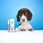 Суспензія Provet PROFILINE КОКЦИД для котів та собак антигельмінтик 5 мл - Зображення 6