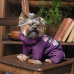 Костюм Pet Fashion LOLA для собак бузковий S - Зображення 5
