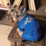 Костюм Pet Fashion ZHAN для собак синій М - Зображення 5