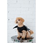 Аксесуар Pet Fashion Web S/M - Зображення 5