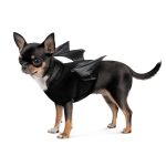 Аксесуар Pet Fashion Web XS/XS2 - Зображення 2