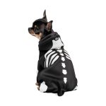 Костюм Pet Fashion для собак Skeleton XS-2 - Зображення 3