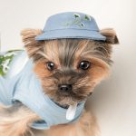 Панама  Blue S - Зображення 4