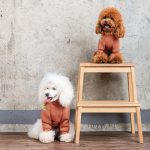 Толстовка Pet Fashion Miley коричнева XS2 - Зображення 5