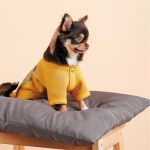 Кардиган Pet Fashion Denis жовтий XS2 - Зображення 4