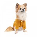 Кардиган Pet Fashion Denis жовтий XS - Зображення 3