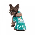 Дощовик Pet Fashion Semmy морська хвиля капучіно XS2 - Зображення 3