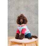 Костюм дівчинка Alisa XS для собак - Зображення 6