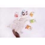 Корм вологий Brit Care Soup Turkey д/котів суп з індичкою 75 г - Зображення 6