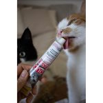 Паста GimCat DUO PASTE Anti-hairboll malt with chicken для котів з чутливим травленням усіх порід мальт та курка 50г - Зображення 4