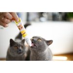 Паста GimCat DUO PASTE Multi-vitamin 12 vitamins with cheese для котів усіх порід 12 вітамінів та сир 50г - Зображення 4