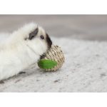 Іграшка Trixie для гризунів Яблуко з кукурудзяного лушпиння 7 см - Зображення 3