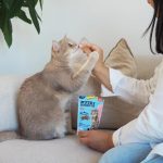 Ласощі Nutri Pockets для котів Рибні Лосось 60г - Зображення 2