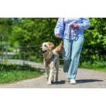 Нашийник Trixie Cavo для собак напівудавка S 30–36 см діаметр 12 мм рожево-пісочний - Зображення 3