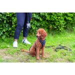 Шлея Trixie CityStyle H-harness для собак бавовна S–M 42–60 см 15 мм чорна - Зображення 4