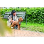 Шлея Trixie CityStyle H-harness для собак бавовна L–XL 75–120 см 25 мм світло-зелена - Зображення 4