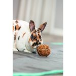 Іграшка Trixie для гризунів Кокосовий м яч діаметр 6 см - Зображення 3