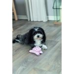 Іграшка Trixie для собак Заєць плюшевий 12 см - Зображення 4