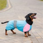 Комбінезон Milly дівчинка L коргі для собак - Зображення 5