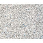 Наповнювач Catfun для котячих туалетів бентонітовий з ароматом марсельського мила 5 л - Зображення 2