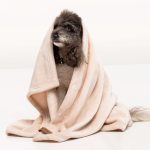 Плед Pet Fashion Bliss 2 для собак і котів плюш пудра 68х114,6 см - Зображення 6