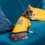 Футболка Pet Fashion Jessica для собак бавовна трикотаж жовта XS - Зображення 4