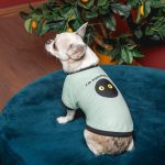 Футболка Pet Fashion Oscar для собак бавовна трикотаж рібана блакитна S - Зображення 4
