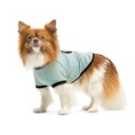 Футболка Pet Fashion Oscar для собак бавовна трикотаж рібана блакитна XS - Зображення 2