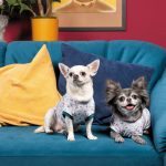 Футболка Pet Fashion Flora для собак бавовна трикотаж біла з квітковим принтом XS - Зображення 4