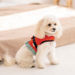 Шлея Monika ТМ Pet Fashion для собак ХXS - Зображення 4