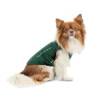 Борцівка Kale ТМ Pet Fashion для собак L зелена - Зображення 2