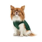 Борцівка Kale ТМ Pet Fashion для собак XS2 зелена - Зображення 3