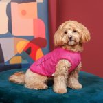 Борцівка Kale ТМ Pet Fashion для собак XS2 малина - Зображення 4