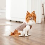 Борцівка Kale ТМ Pet Fashion для собак М коричнева - Зображення 4