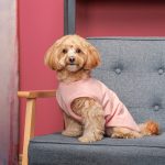 Борцівка Kale ТМ Pet Fashion для собак XS рожева - Зображення 4