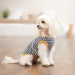 Борцівка Kale ТМ Pet Fashion для собак XS2 смугаста - Зображення 4